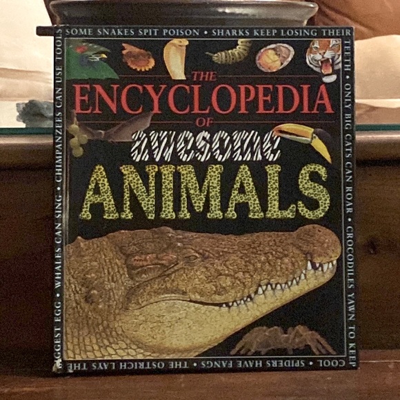 copper beech books Toys The Encyclopedia Of Awesome Animals Book Poshmark